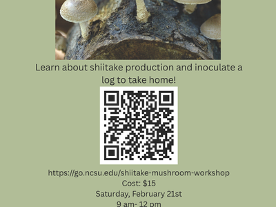 MUSHROOM WORKSHOP FLYER DATE, TIME, LOCATION AND REGISTRATION INFORMATION MUSHROOMS ON A LOG