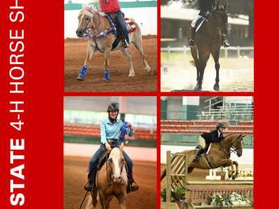 NC State 4‑H Horse Show poster with four riding photos and text "SPONSORSHIP OPPORTUNITIES 2026"