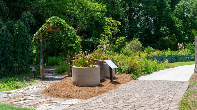 Native Plant Garden at the NHC Arboretum in New Hanover County