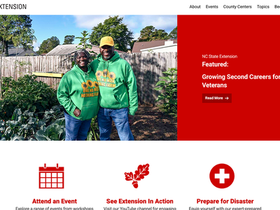 New Extension Website Screenshot