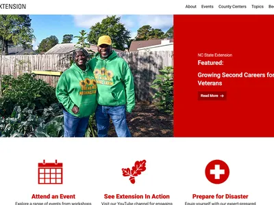 New Extension Website Screenshot