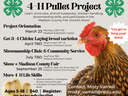 Pullet Project Dates with image of hen and chicks