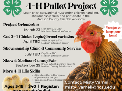 Pullet Project Dates with image of hen and chicks