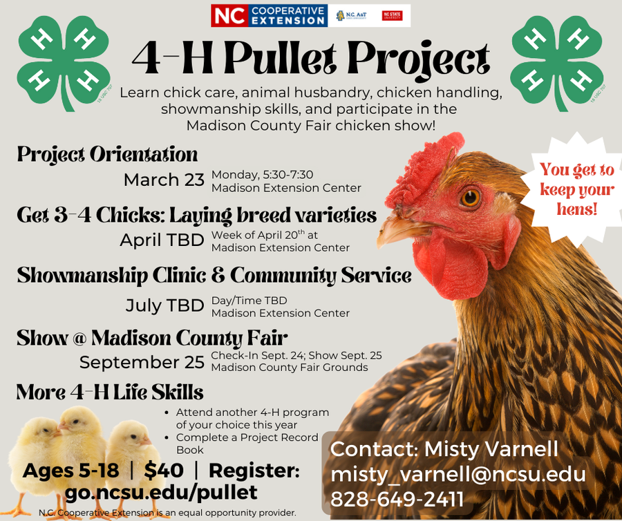 Pullet Project Dates with image of hen and chicks