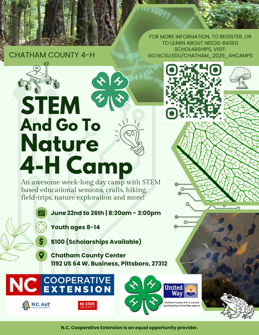 STEM and Go to Nature 4-H Camp Flyer