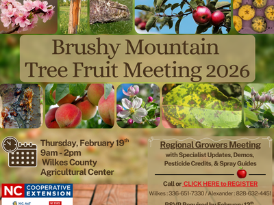 Brushy Mountain Tree Fruit Meeting 2026 poster: Feb 19, 9am–2pm, Wilkes County Ag Center