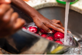 Picture of hands washing fruit