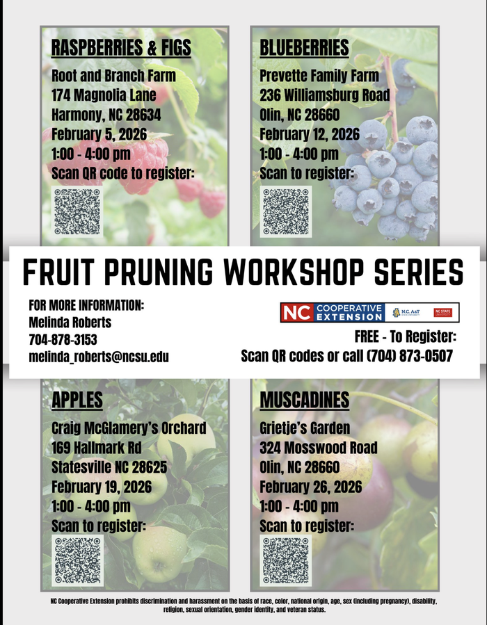 Fruit Pruning Workshop Series flyer with raspberries, blueberries, apples, muscadines, dates and QR codes