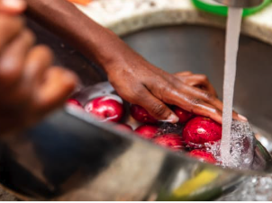 Picture of hands washing fruit