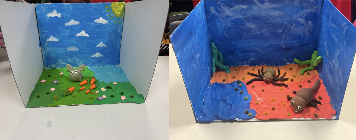 Habitat dioramas, one is a rabbit with carrots, the other has a spider and lizard in a desert.