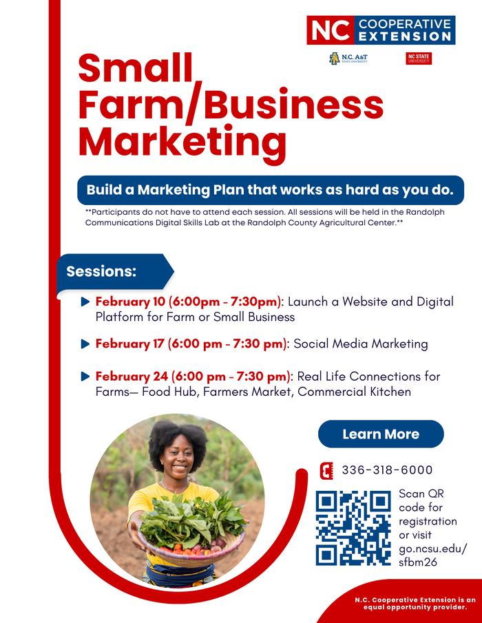 Small Farm/Business Marketing Flyer.