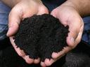 Hands holding dark soil for gardening
