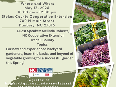 Picture of vegetables and plants