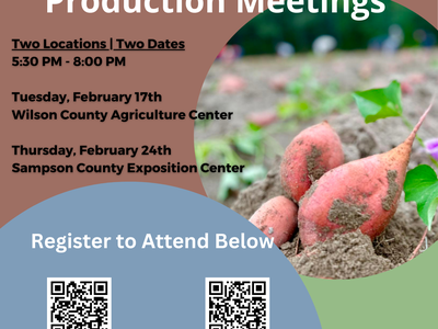 2026 Sweetpotato Production Meetings