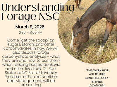 Horse grazing beside poster: "Understanding Forage NSC, March 9, 2026, 6:30–8:00 PM"