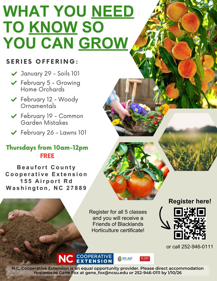 What you need to know so you can grow 2026