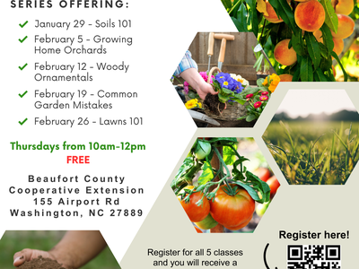 Flyer: "WHAT YOU NEED TO KNOW SO YOU CAN GROW" gardening class series, dates and Beaufort County location