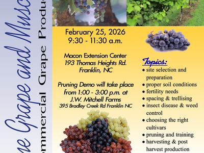 Grape Workshop Flyer