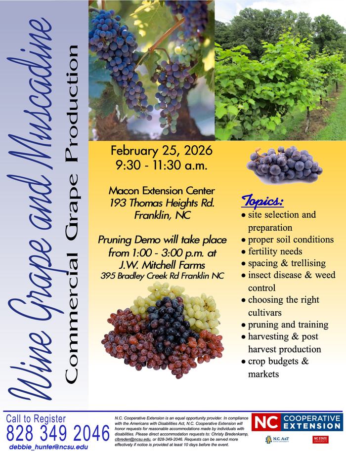 Grape Workshop Flyer