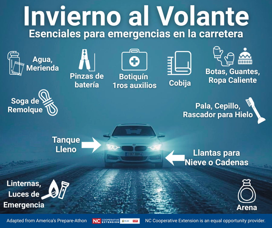 Artículos para el auto durante el invierno