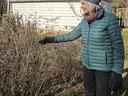 Woman in teal jacket and knit hat touching dried plants in a winter garden