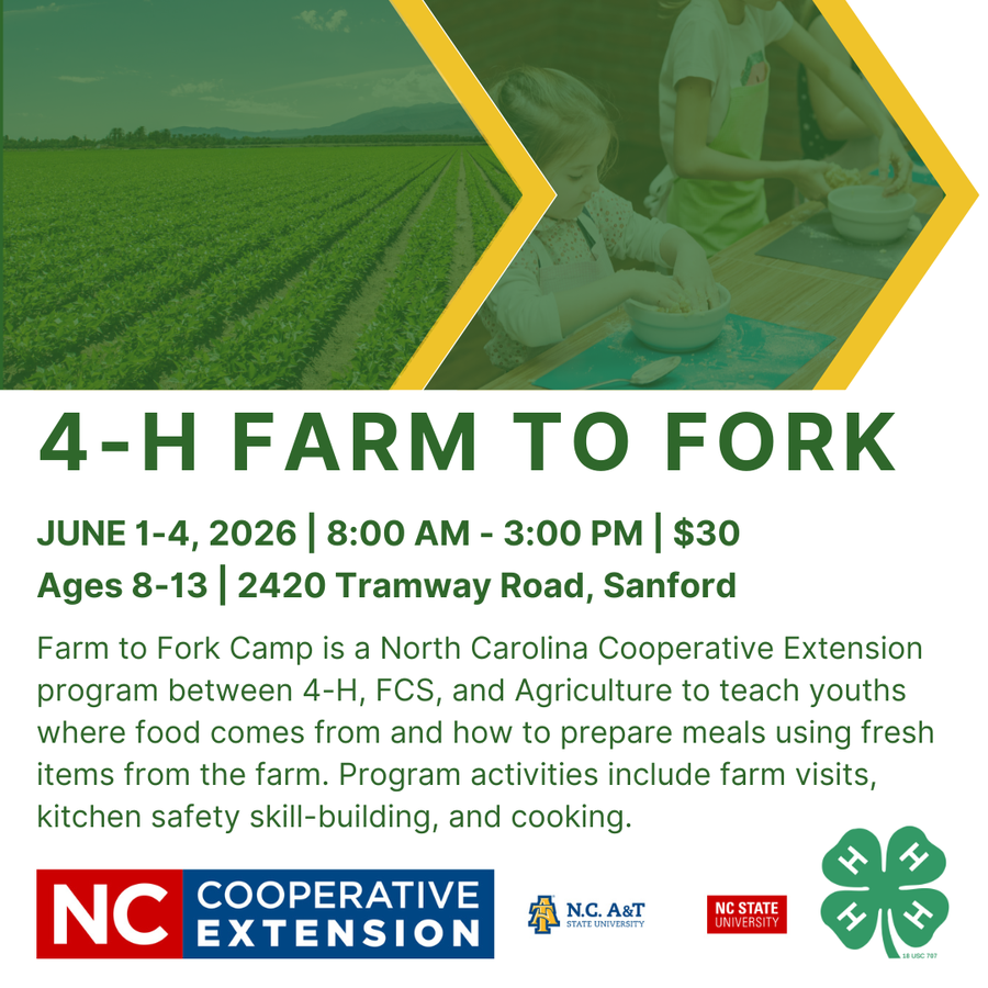 Farm to fork youth workshop in June