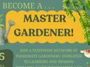 flyer with the same information that is in the article