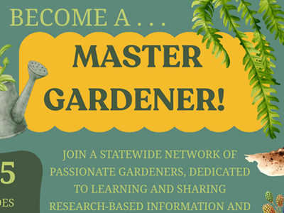 flyer with the same information that is in the article