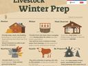 Livestock Winter Prep poster: shelter, water, heat sources, nutrition, health, be prepared