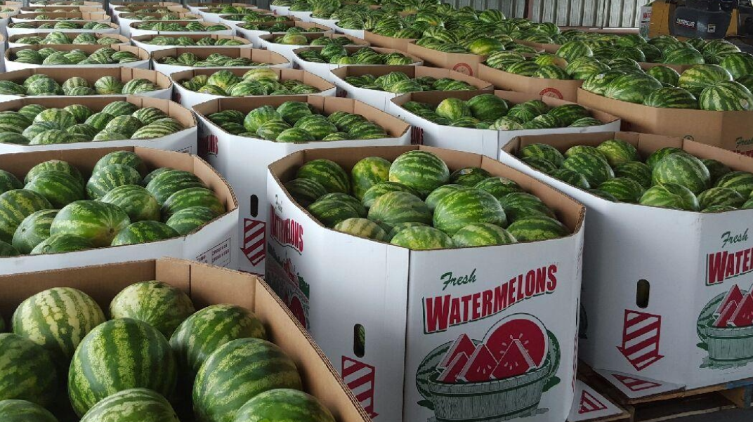 watermelon bins