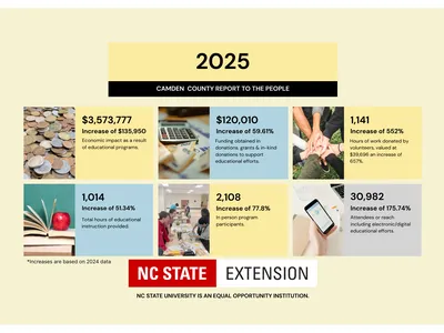 infographic with data listed in article