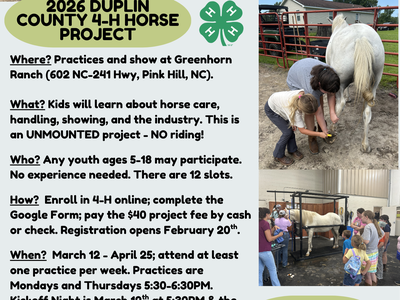 Horse, Duplin County, 4-H