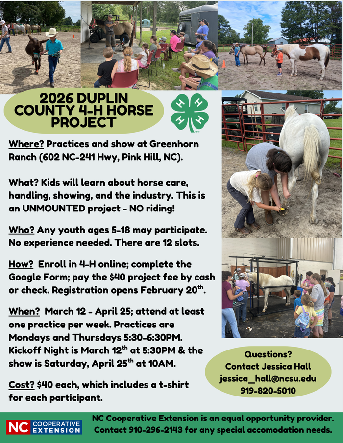 Horse, Duplin County, 4-H