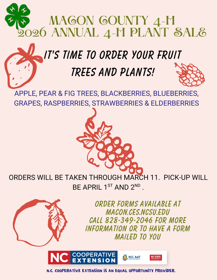 4-H Plant Sale Flyer