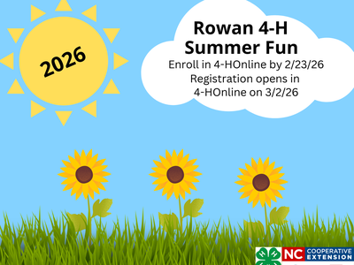 Rowan 4-H Summer Fun header