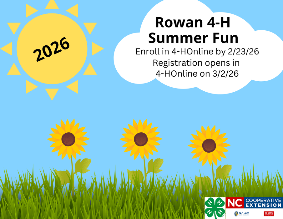 Rowan 4-H Summer Fun header