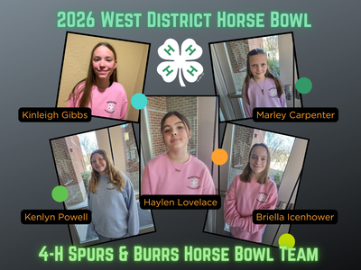 individual portraits of 5 members of horse bowl team