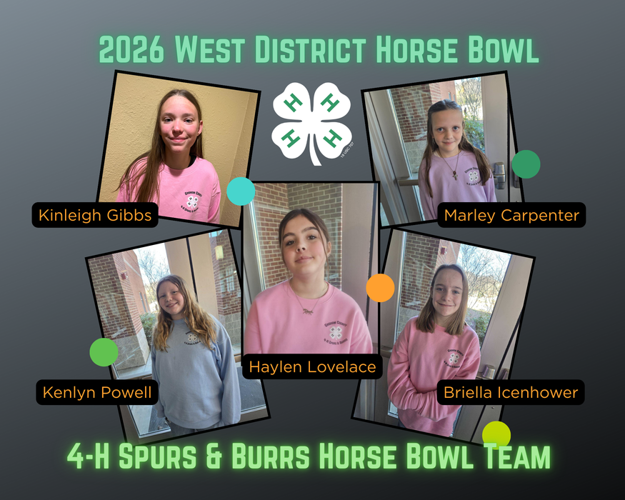 individual portraits of 5 members of horse bowl team