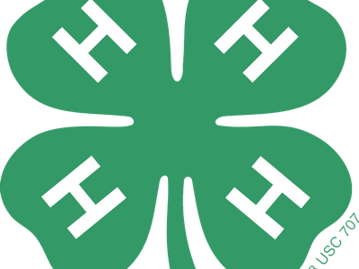 A green four-leaf clover with a white ‘H’ on each leaf, representing the 4-H youth organization’s emblem.