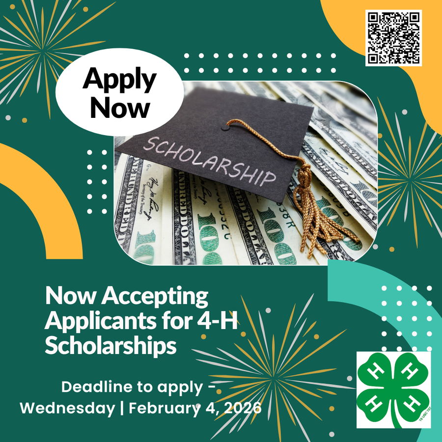 scholarship graphic
