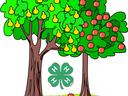 4-H Fruit Trees