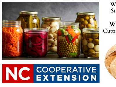 This image is a flyer of the information provided in the post.