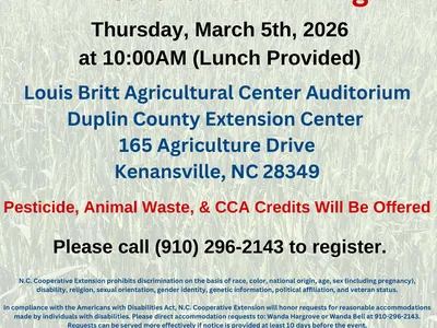 Area Grains Training