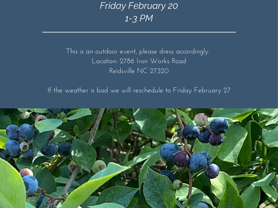Blueberry Pruning Demonstration — Friday Feb 20, 1–3 PM; 2786 Iron Works Road, Reidsville NC