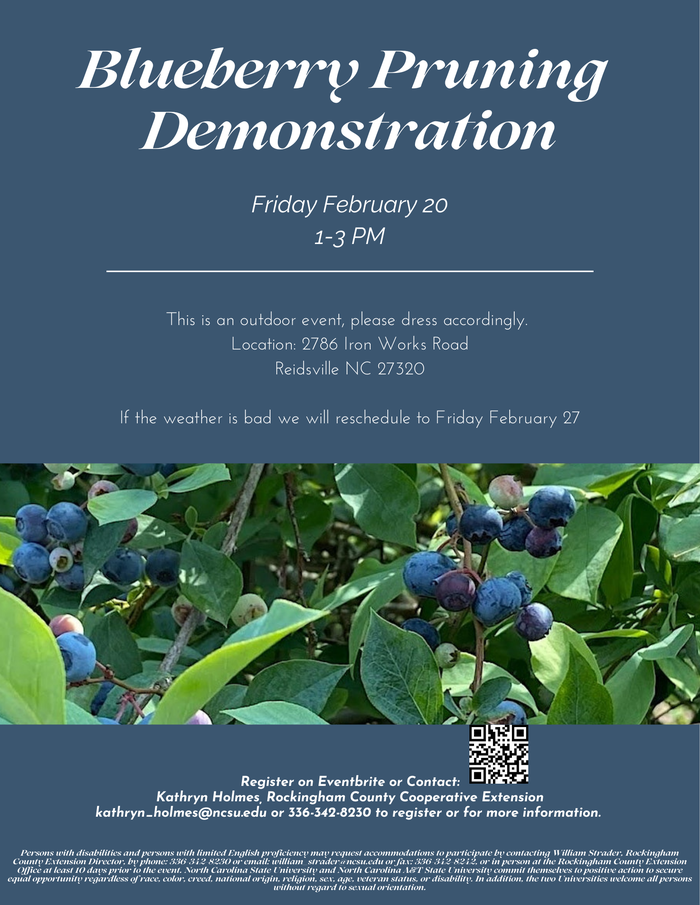 Blueberry Pruning Demonstration — Friday Feb 20, 1–3 PM; 2786 Iron Works Road, Reidsville NC