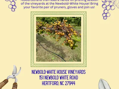 Grape pruning clinic flyer