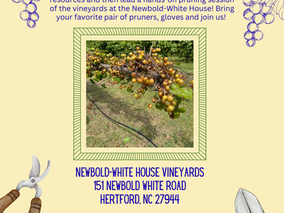 Grape pruning clinic flyer