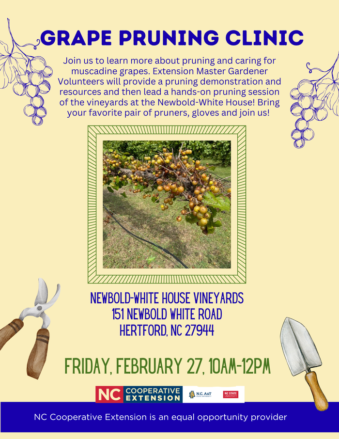 Grape pruning clinic flyer
