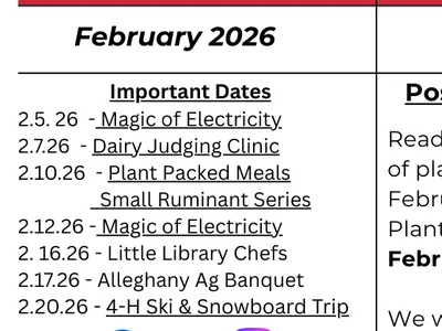 February Newsletter Cover