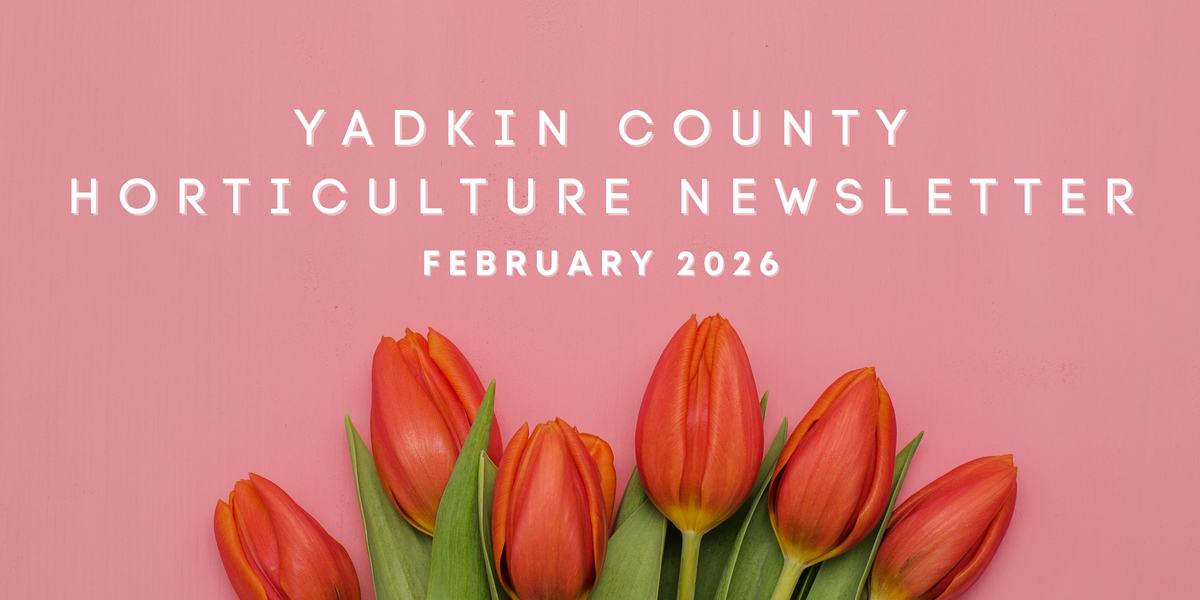 Horticulture February Newsletter